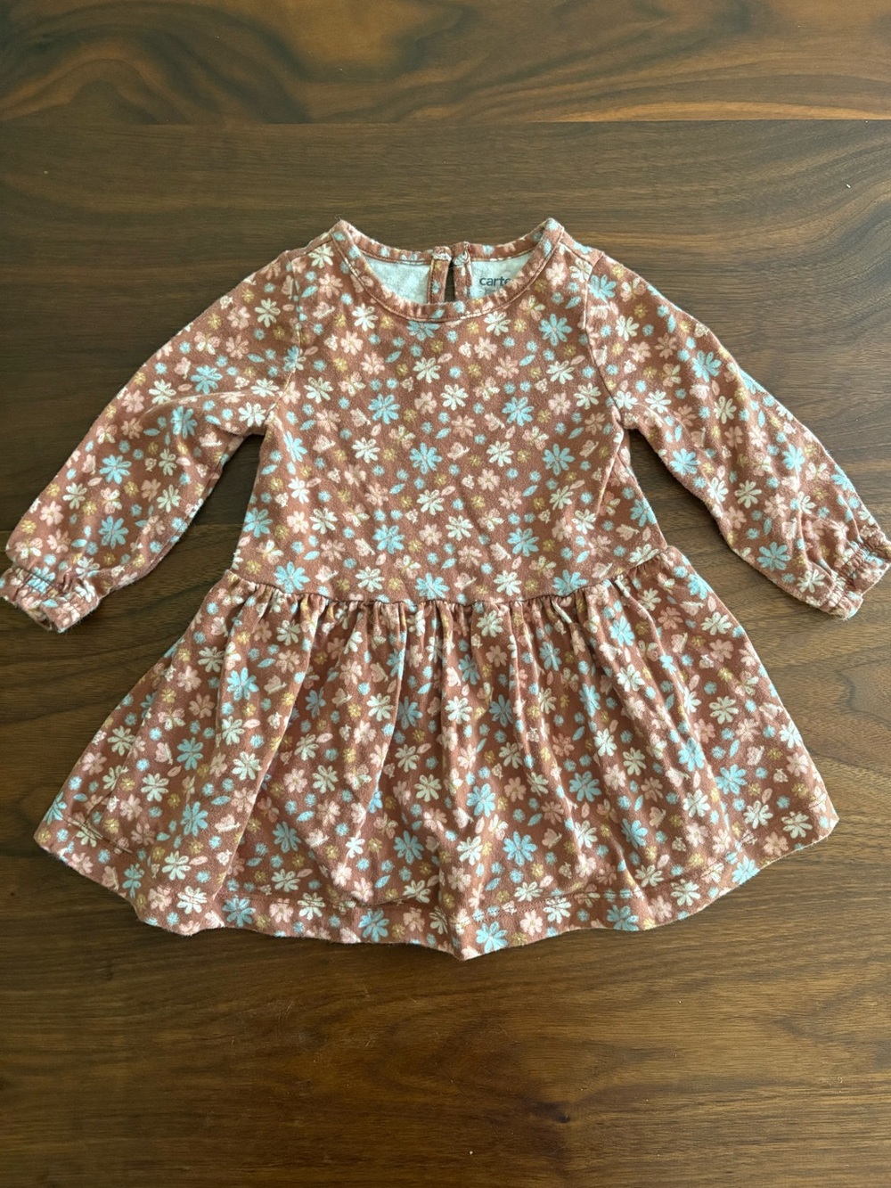 Carters 6-9 month floral fall dress